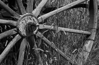 Wagon Wheel