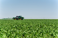 Working the Field