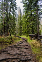 Spires Black Hills