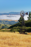 Morning Fog with Windmill