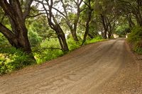 Country Lane
