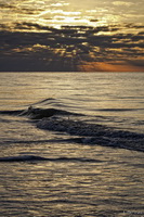 Sunrise Sanibel Island