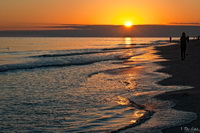 Sanibel Island Sunset