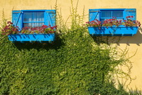 Blue Window Boxes