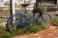 Blue Bike