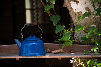 Blue Teapot