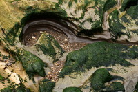 Tiny Canyon