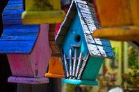 Bird Houses