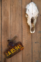 Skull & License Plate